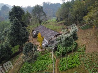 邛崍大同鎮(zhèn)山景農(nóng)家院使用權(quán)出租