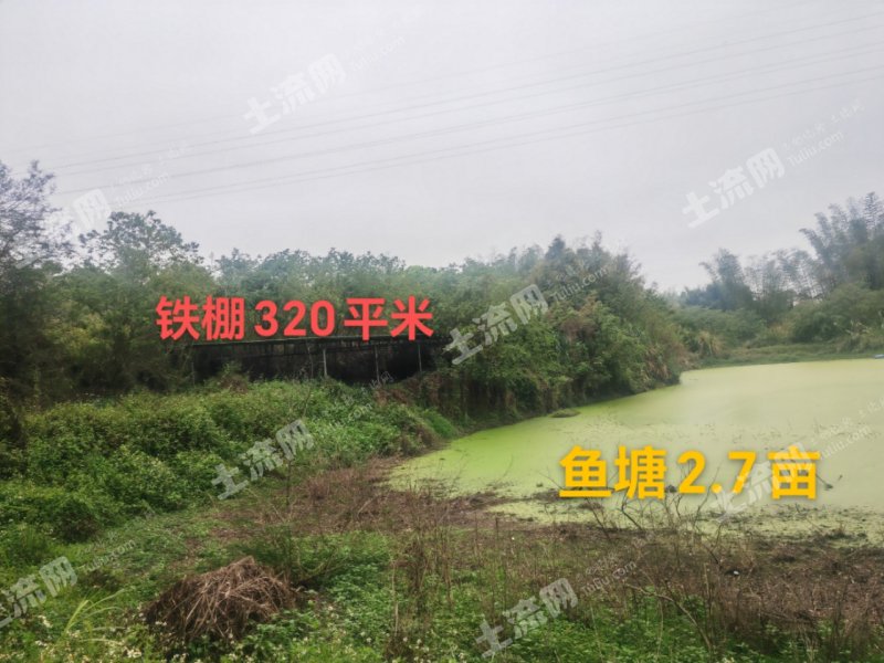惠东县17亩坑塘水面经营权出租