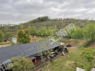 宁波奉化区 160亩 有林地 经营权转让