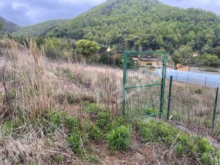 宁波象山县12.25亩旱地经营权出租