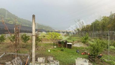 宁波  镇海区 3亩 农场 经营权出租