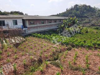 宜宾  珙县 3.3亩 猪场养殖用地 经营权转让