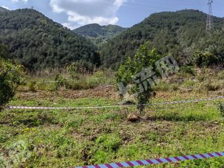 重庆30亩耕地经营权出租