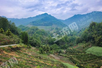 大邑山区清爽敞亮院落农房使用权出租（附近可钓鱼）