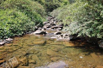 大邑山谷溪畔林居合作联建（两户产权）