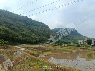 宜宾长宁县100亩水田经营权出租