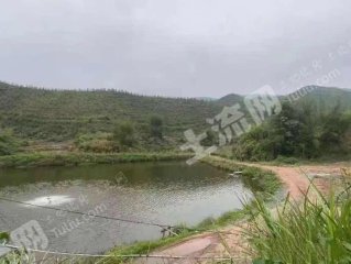 清远阳山县200亩农场经营权转让