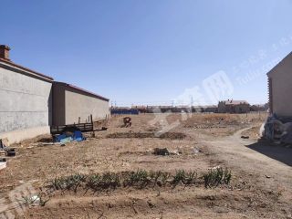 乌兰察布商都县3亩其它耕地经营权转让