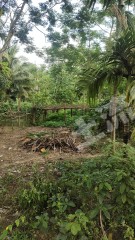 海南萬(wàn)寧市800平米農(nóng)村宅基地使用權(quán)出租