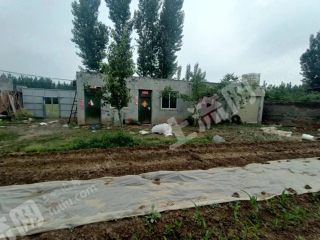 新乡卫滨区(南环)2亩菜园及住房种养大院经营权出租XX1719