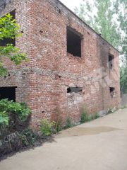 山东临沂枣园600平米农村宅基地使用权出租