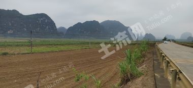 崇左江州区1000亩其它耕地经营权出租