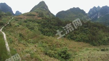 崇左大新县100亩其它耕地经营权出租