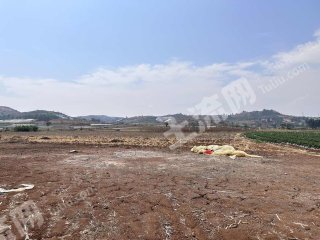 文山文山市110亩水浇地经营权出租