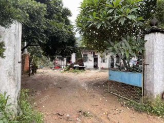 广东佛山高明100亩农场经营权转让