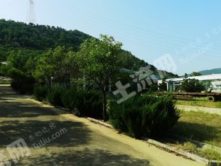 临沂费县33350平方米度假山庄使用权转让