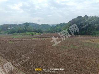 宜宾长宁县200亩水田经营权出租