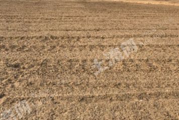 南昌进贤县 500亩 旱地 经营权出租