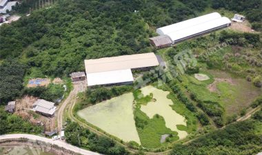 成都新津县60亩林地及养殖用房经营权出租