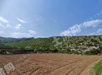 长治黎城县326.02亩荒山使用权出租