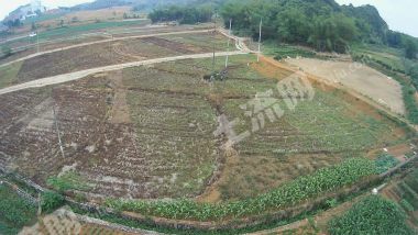 崇左宁明县100亩其它耕地经营权出租