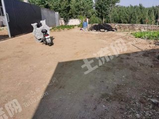 臨沂沂水縣250平米農(nóng)村宅基地使用權(quán)出租