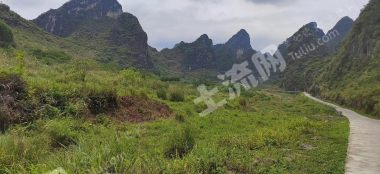 崇左天等县180亩灌木林地经营权出租