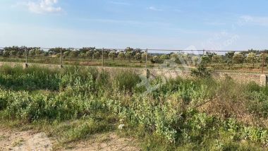 南阳市85亩畜牧养殖用地经营权出租XX1738