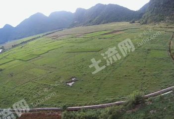 崇左天等县40亩水田经营权出租