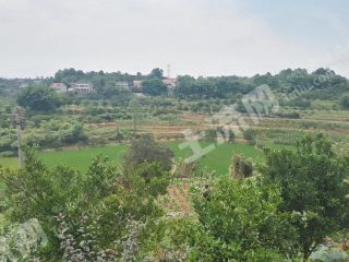 宜宾  翠屏区 200亩 水田经营权出租