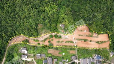 宁波  象山县 15亩 其它耕地 露营基地 经营权出租