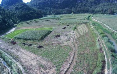 崇左天等县60亩旱改水经营权出租