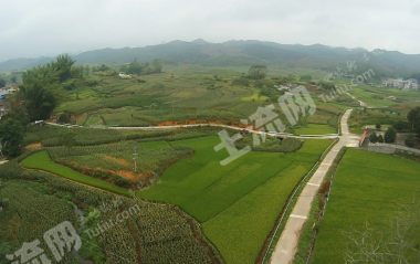 崇左天等县3000亩其它耕地经营权出租