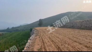 淄博淄川区17000亩林地经营权转让