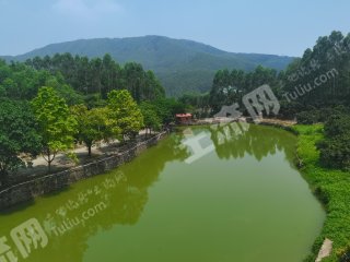 惠州惠城区1600平米度假山庄经营权出租