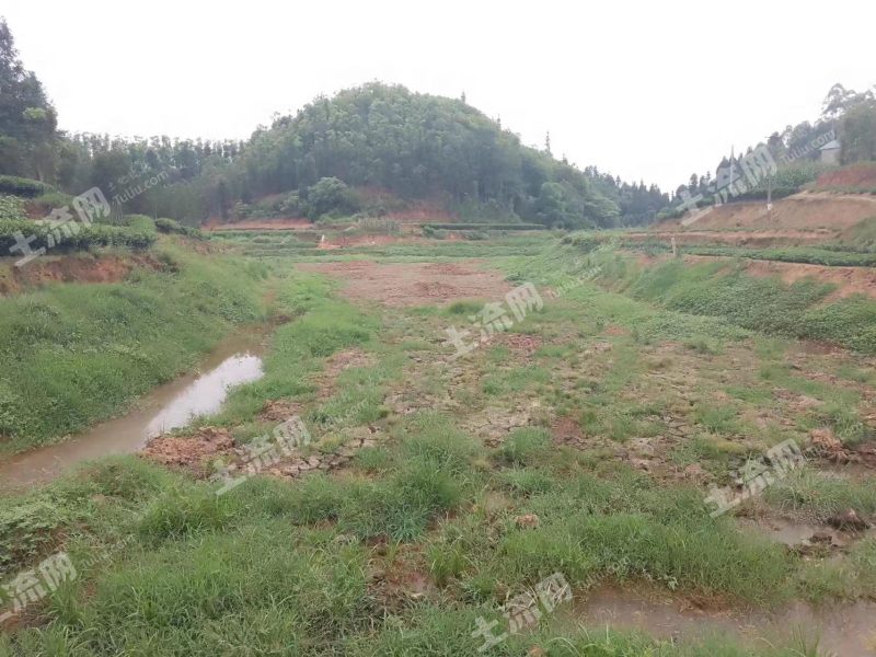 宜宾翠屏区150亩水产养殖用地经营权转让t024