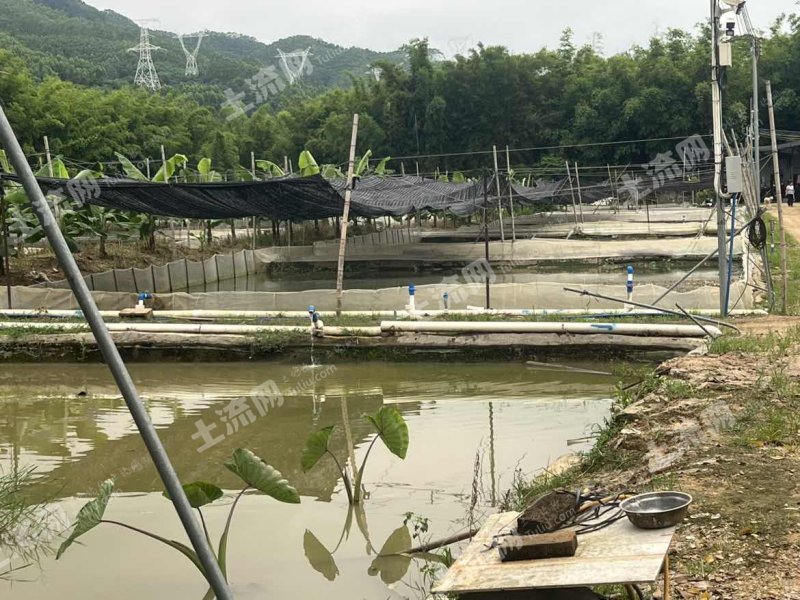 惠州龙门县40亩水产养殖用地经营权出租