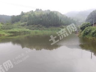 宜宾高县12亩坑塘经营权出租t028