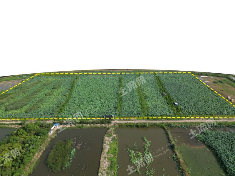 宁波  江北区 40亩 水产养殖用地 经营权整租
