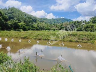 三亚天涯区10.9亩湖泊水面使用权出租