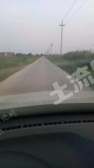 东营河口区4000亩水浇地经营权出租XX1747