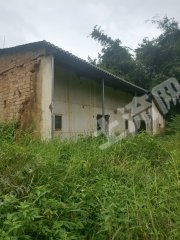 惠城区4亩农房带鱼塘经营权出租