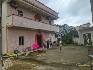 惠城区农村独栋两层楼房带院子使用权流转