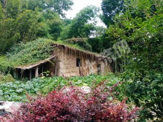 重慶  沙坪壩區(qū) 115平方米 農(nóng)村宅基地 使用權(quán)轉(zhuǎn)讓