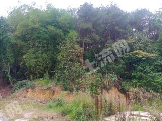 重慶  沙坪壩區(qū) 150平方米 農(nóng)村宅基地 使用權(quán)轉(zhuǎn)讓