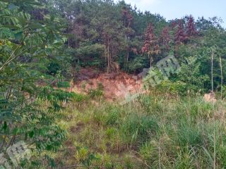 重慶  沙坪壩區(qū) 150平方米 農(nóng)村宅基地 使用權(quán)轉(zhuǎn)讓