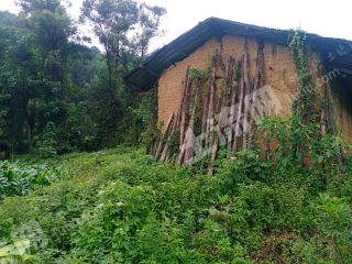 重慶  沙坪壩區(qū) 260平方米 農(nóng)村宅基地 使用權(quán)轉(zhuǎn)讓