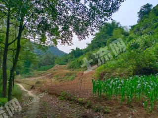 重慶  沙坪壩區(qū) 75平方米 農村宅基地 使用權合作