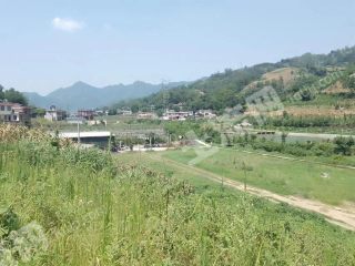 宜宾高县200亩水浇地经营权出租d039