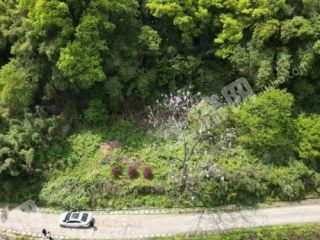 重庆主城75平方米 农村宅基地 使用权出租